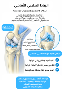 الرباط الصليبي الأمامي